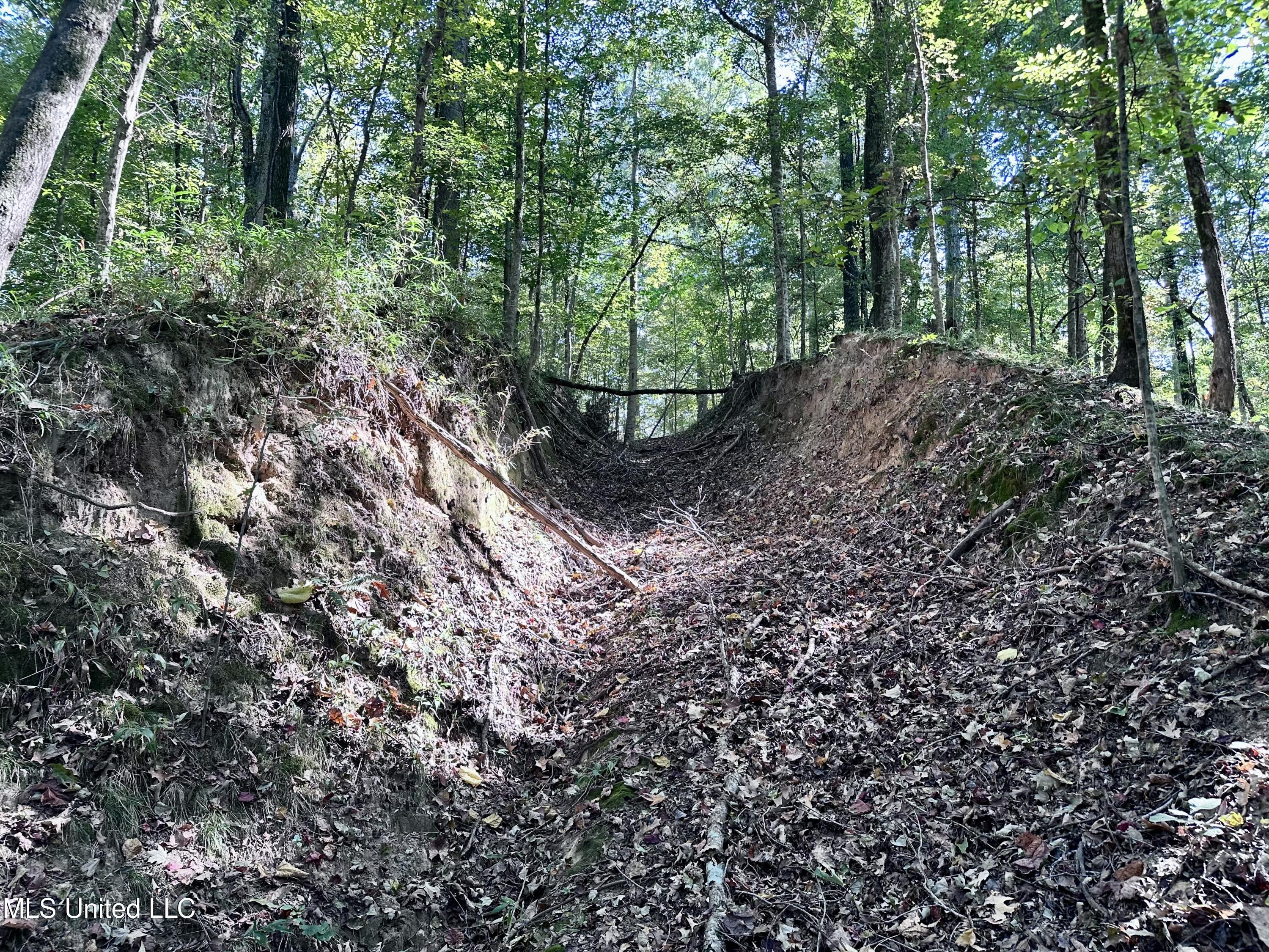 991 Witherspoon Road Yazoo City, MS 39194 - Photo 54 of 64 53.