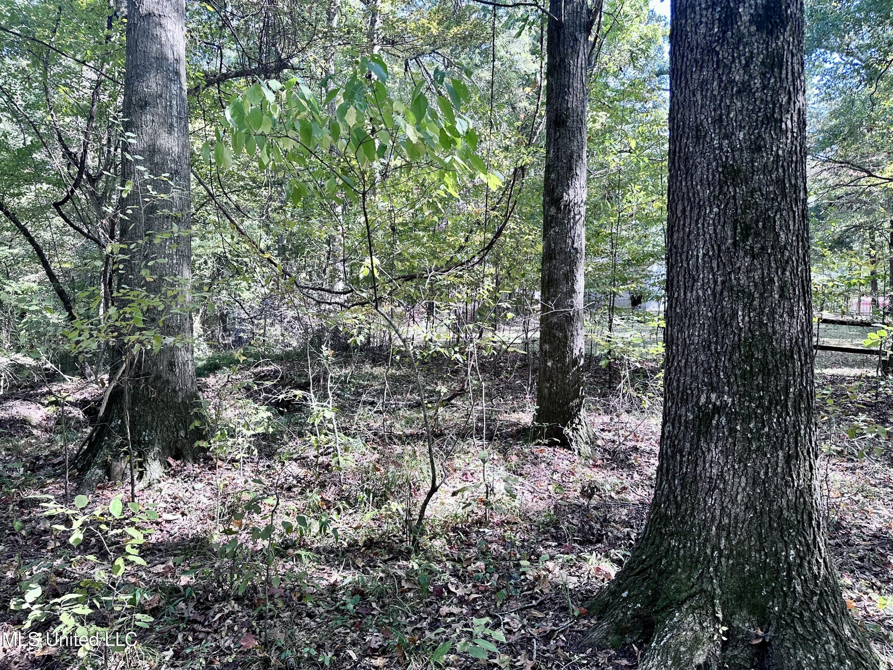 991 Witherspoon Road Yazoo City, MS 39194 - Photo 56 of 64 55.
