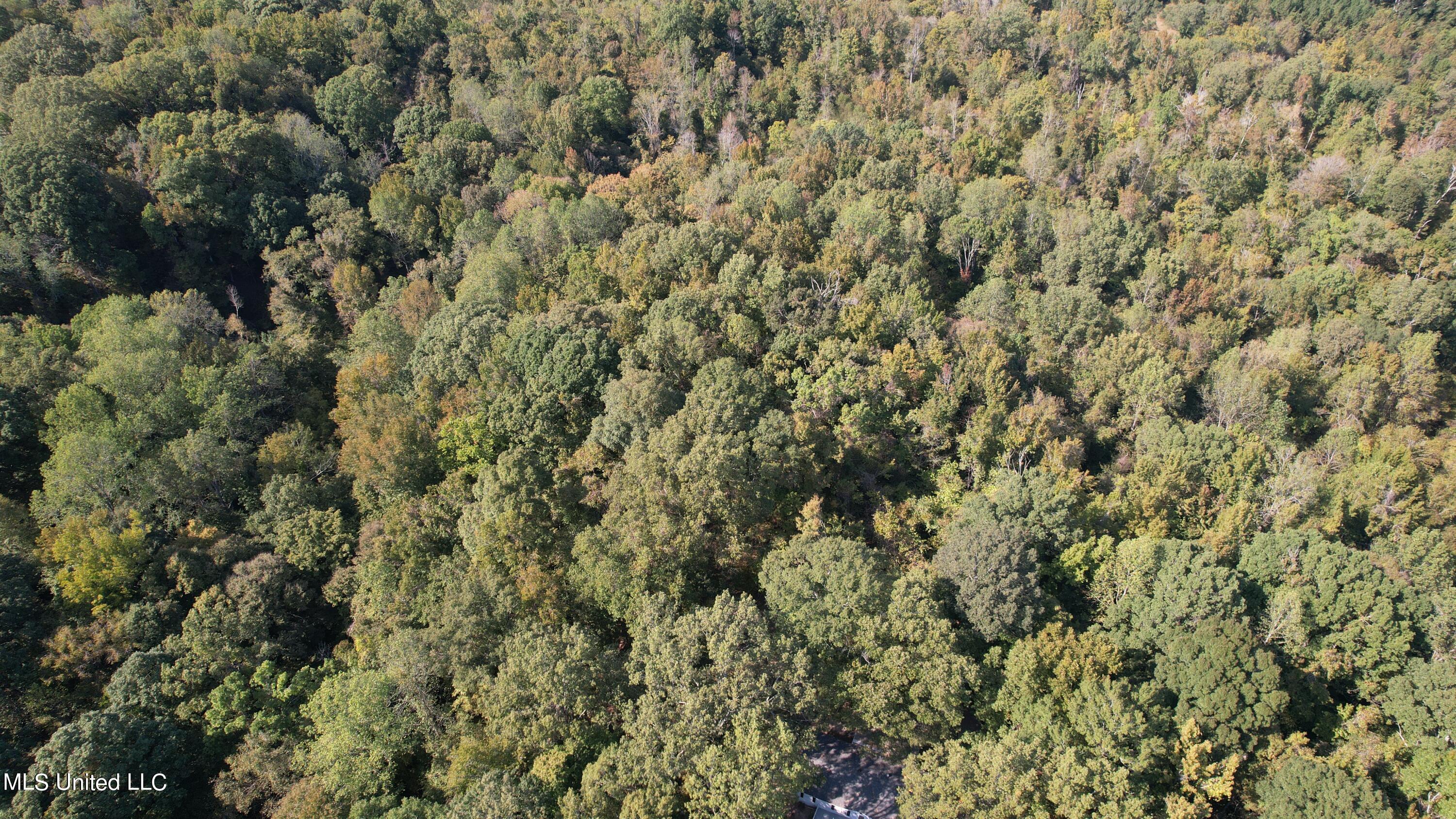 991 Witherspoon Road Yazoo City, MS 39194 - Photo 57 of 64 57.
