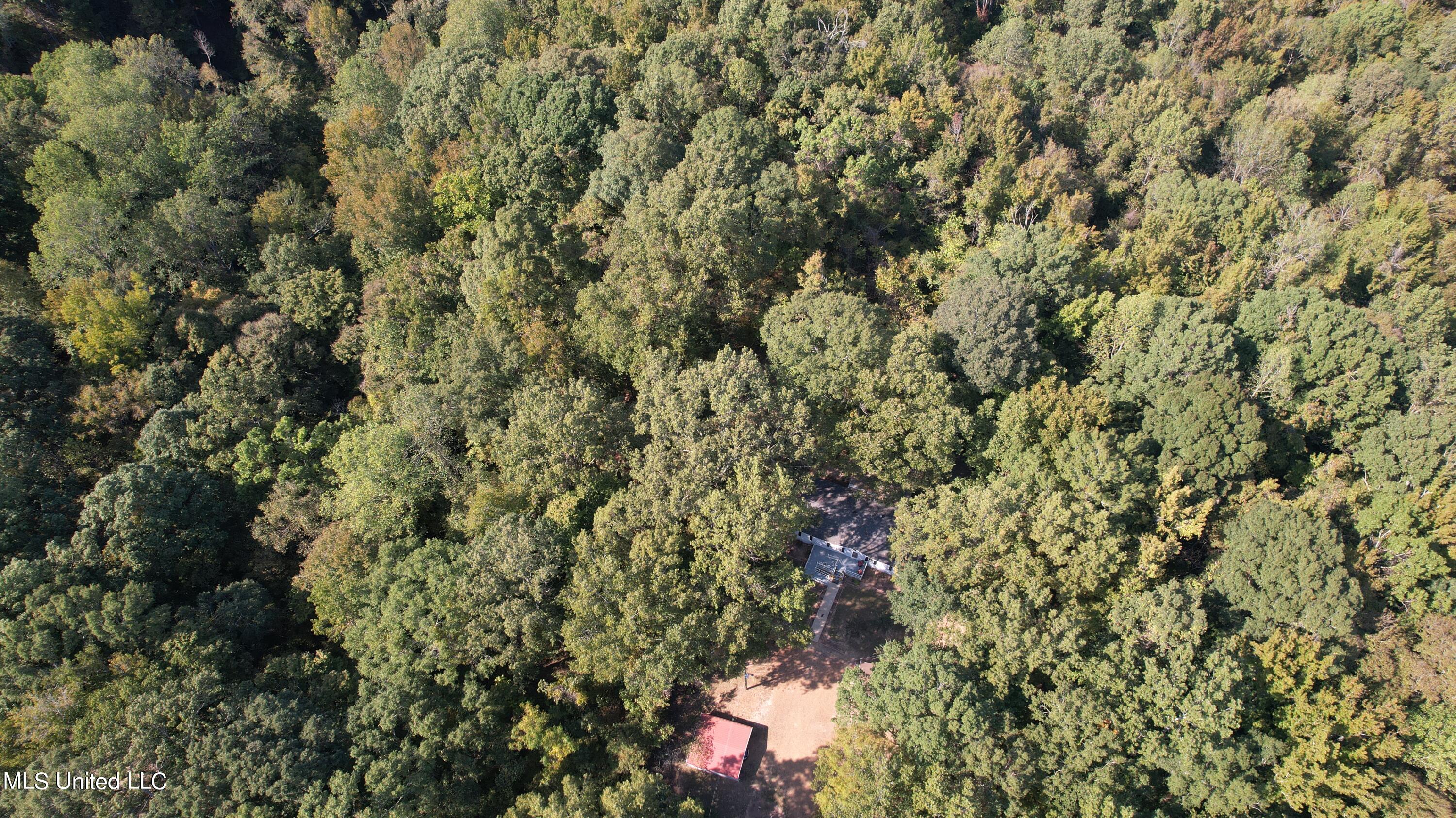 991 Witherspoon Road Yazoo City, MS 39194 - Photo 58 of 64 58.