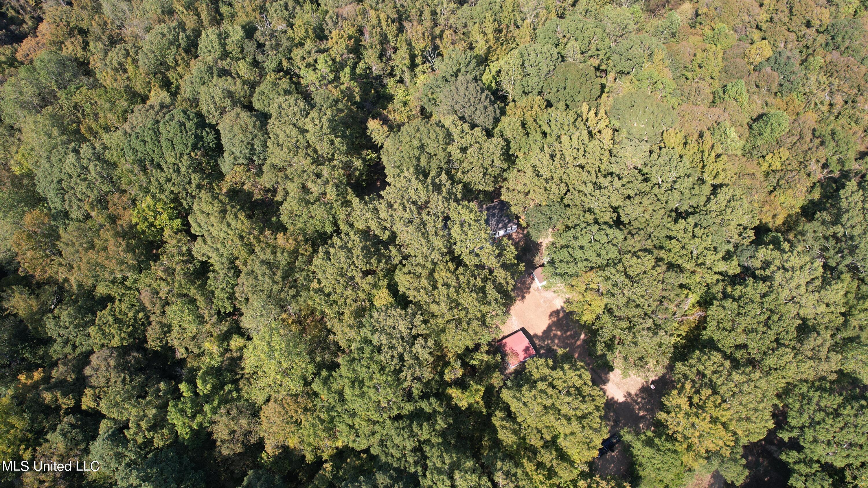991 Witherspoon Road Yazoo City, MS 39194 - Photo 59 of 64 59.