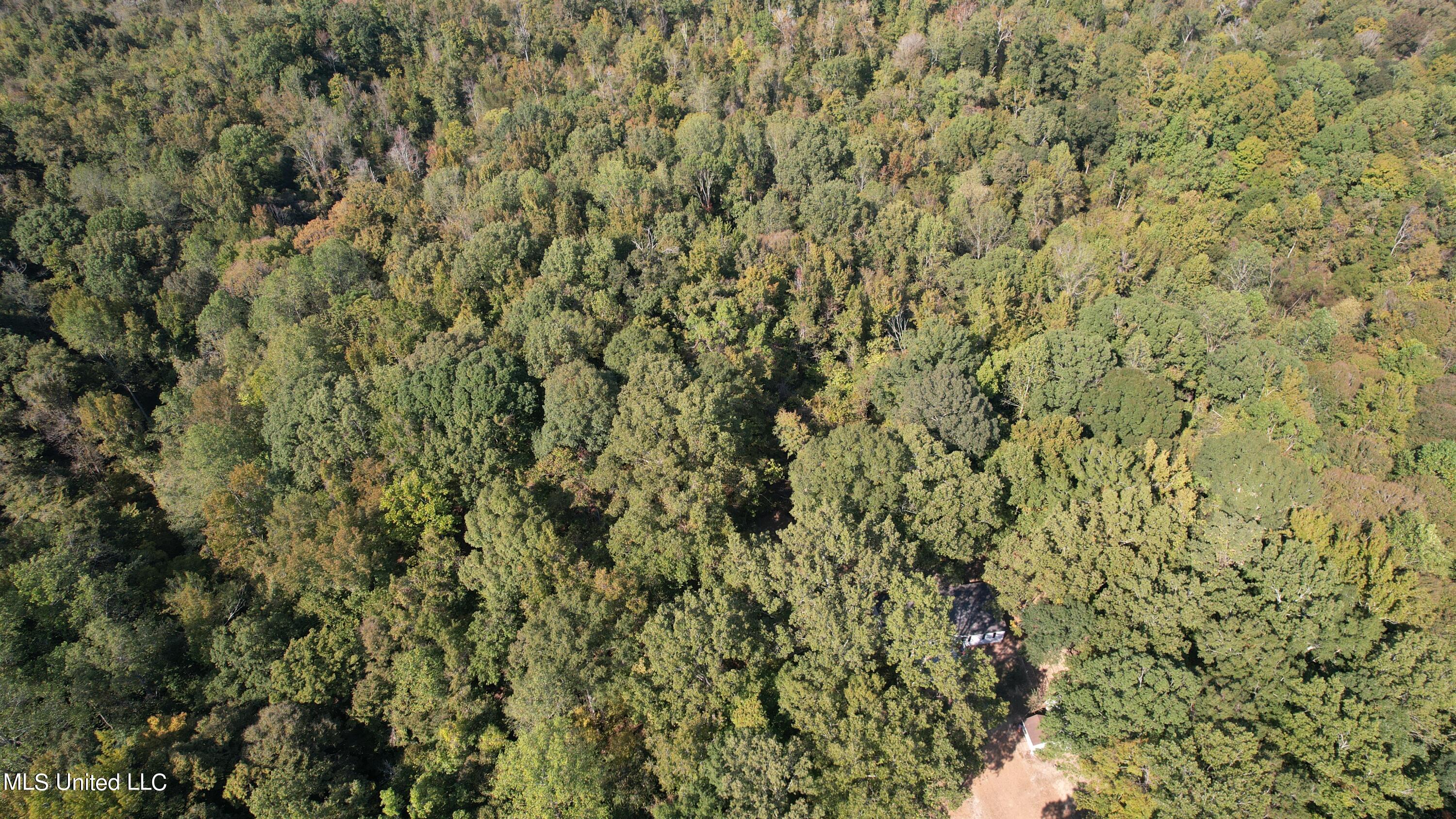 991 Witherspoon Road Yazoo City, MS 39194 - Photo 60 of 64 60.