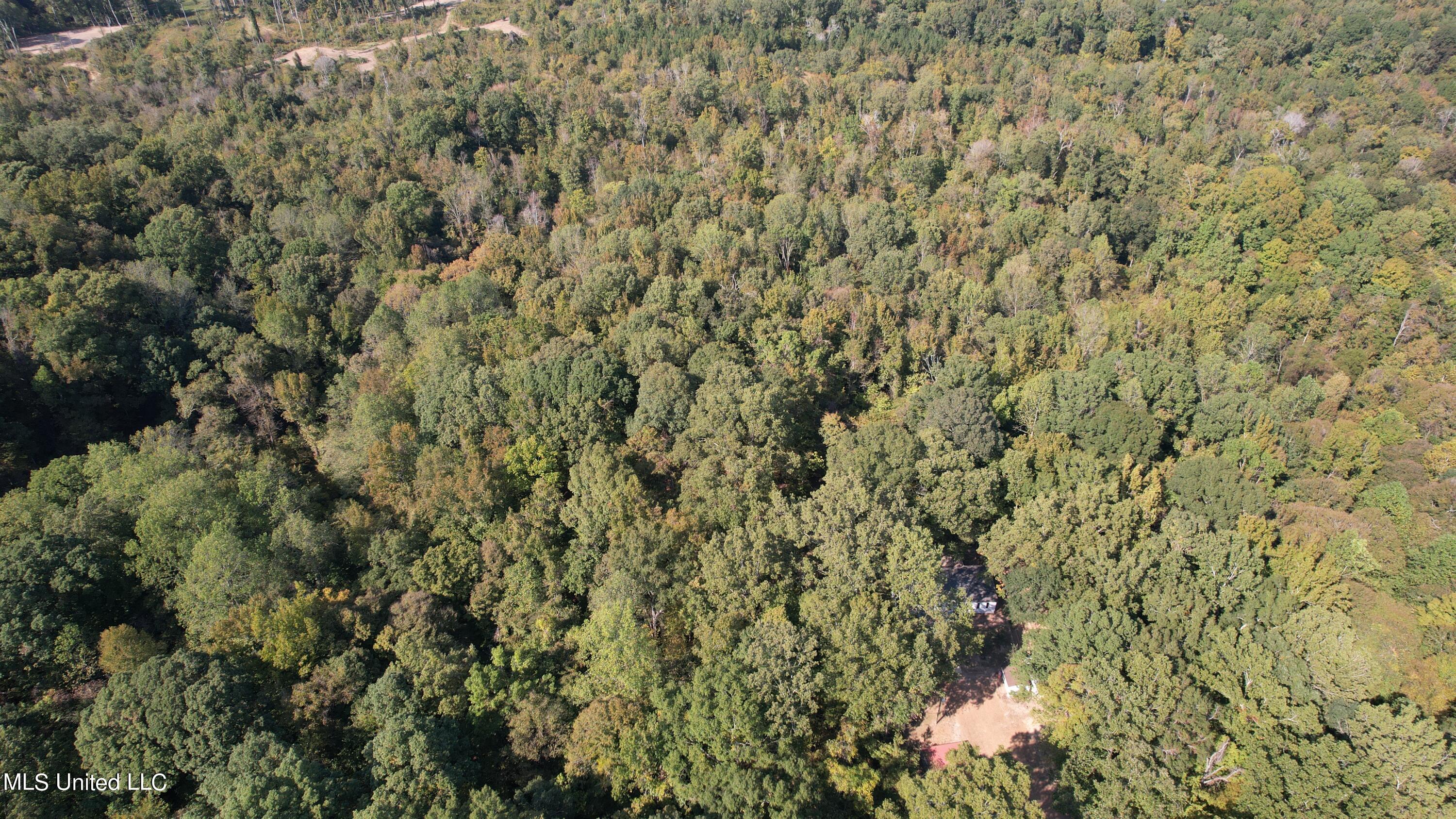 991 Witherspoon Road Yazoo City, MS 39194 - Photo 61 of 64 61.