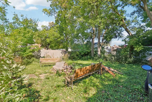 a view of a backyard with plants and a garden