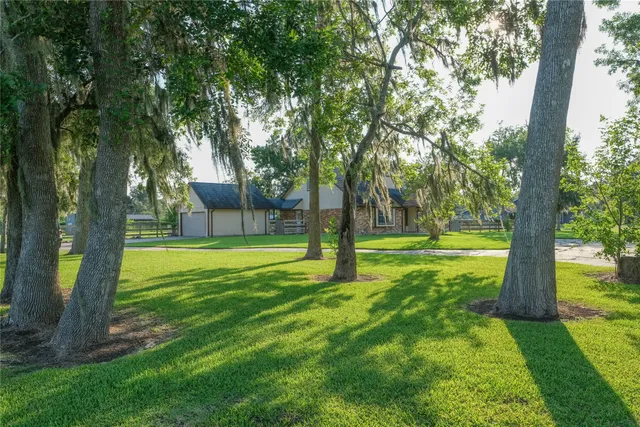 a view of a yard with a tree