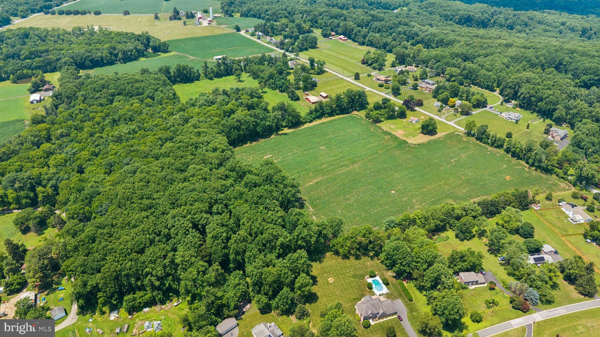 7219 New Cut Road Kingsville, MD 21087 - Photo 15 of 59 Gallery Image 15