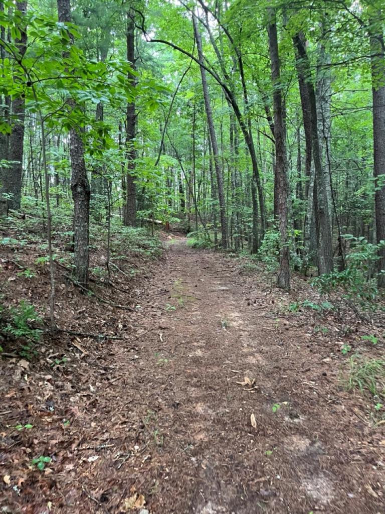 Lot 42 Timberline Road Murphy, NC 28906 - Photo 1 of 12 Main View