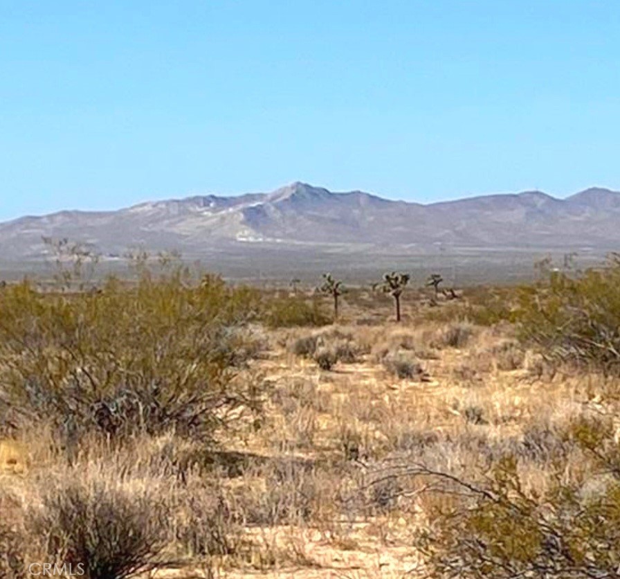 a view of city and mountain