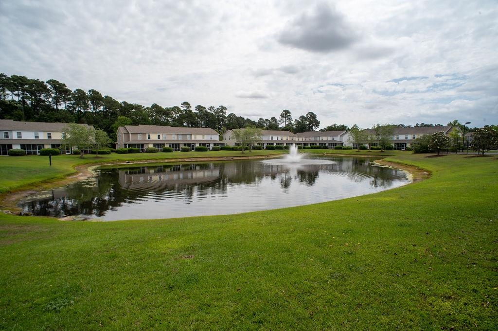 300 Kiskadee Loop, Unit B Conway, SC 29526 - Photo 76 of 86