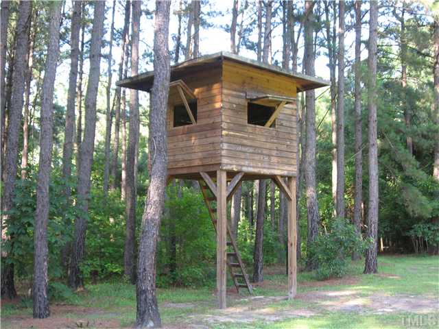 5519 Devils Racetrack Road Four Oaks, NC 27524 - Photo 11 of 12 Tree house, play house or storage. Can be removed is not needed.