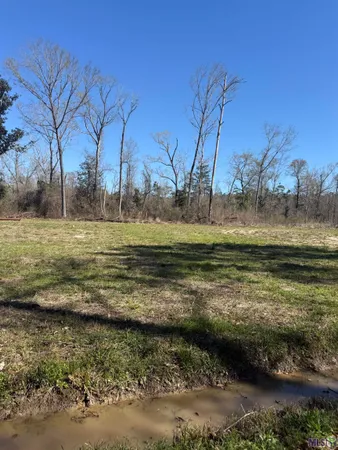 $25,000 | Lot 3 Music Lane, Springfield, LA 70462