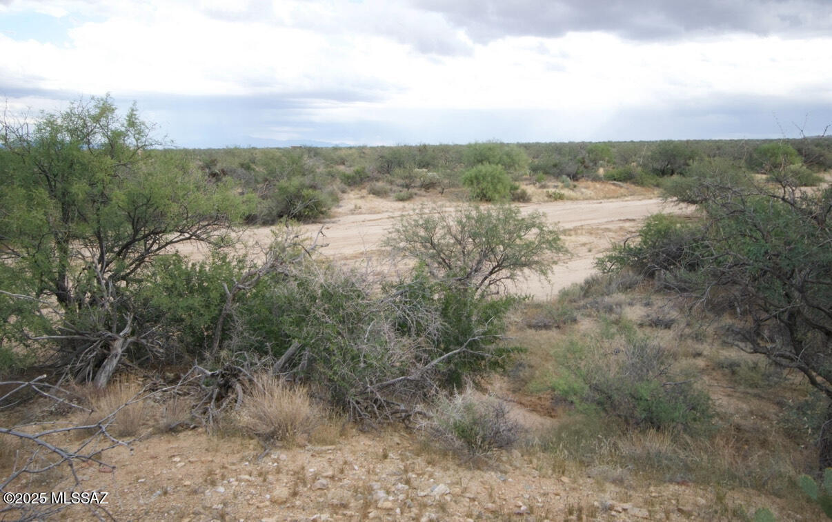 14536 West Diamond Bell Ranch Road, Unit 406 Tucson, AZ 85736 - Photo 10 of 16