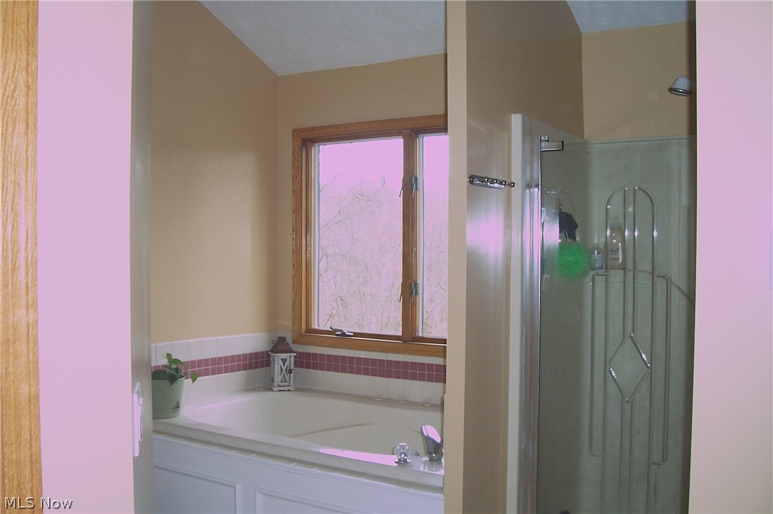 5464 Chapel Road Madison, OH 44057 - Photo 23 of 35 Master Shower and Jacuzzi Tub.