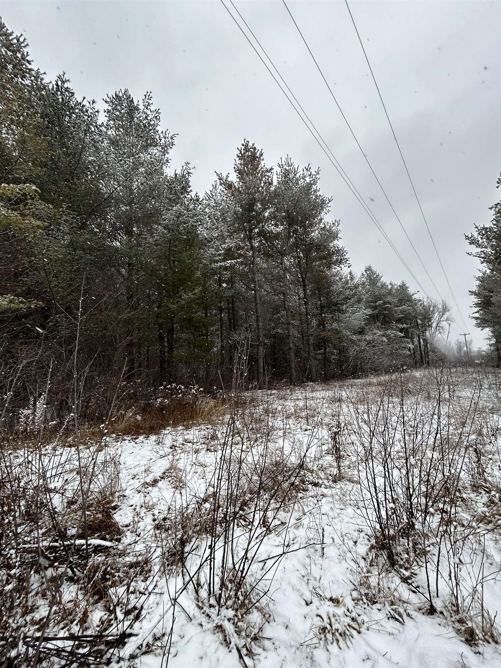 0 Wheeler Road, Unit LAND Standish, MI 48658 - Photo 9 of 11 Gallery Image 9