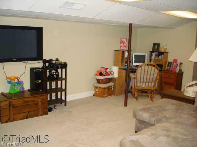 658 Burge Road Pinnacle, NC 27043 - Photo 9 of 9 Other. Den area in finished part of basment, unfinished area is a workshop area.