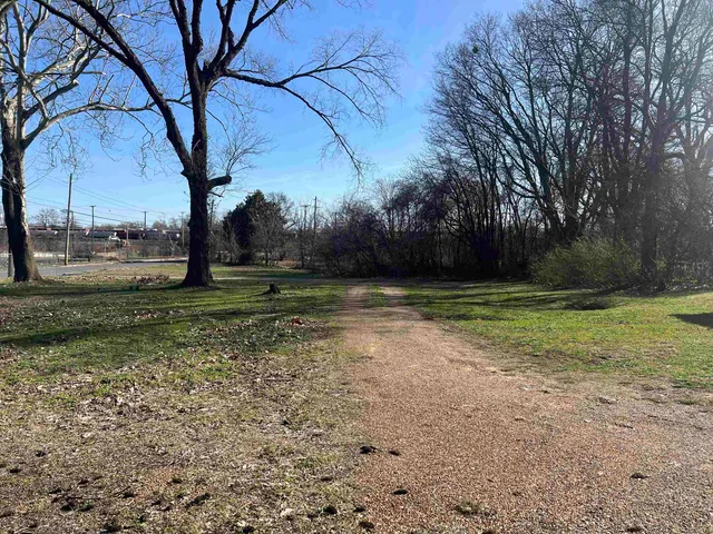 a view of a field with trees
