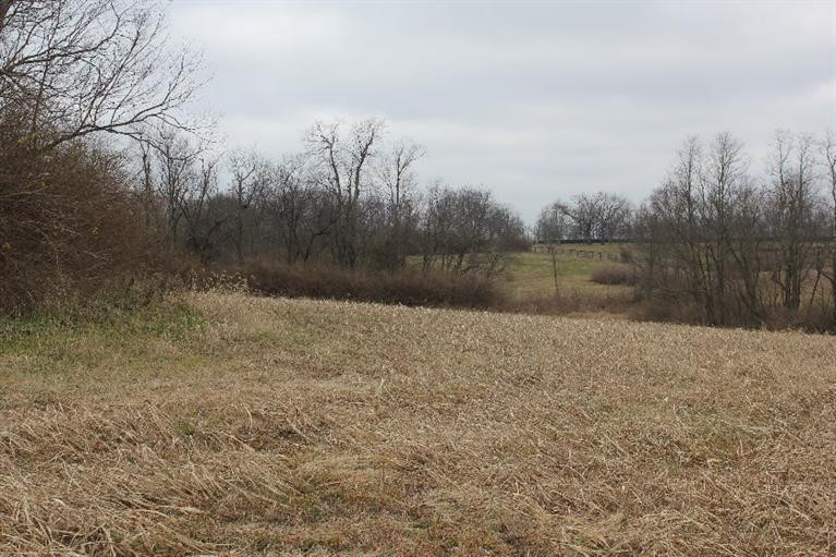 200 Elm Corner Road Versailles, KY 40383 - Photo 4 of 6 Photo 4