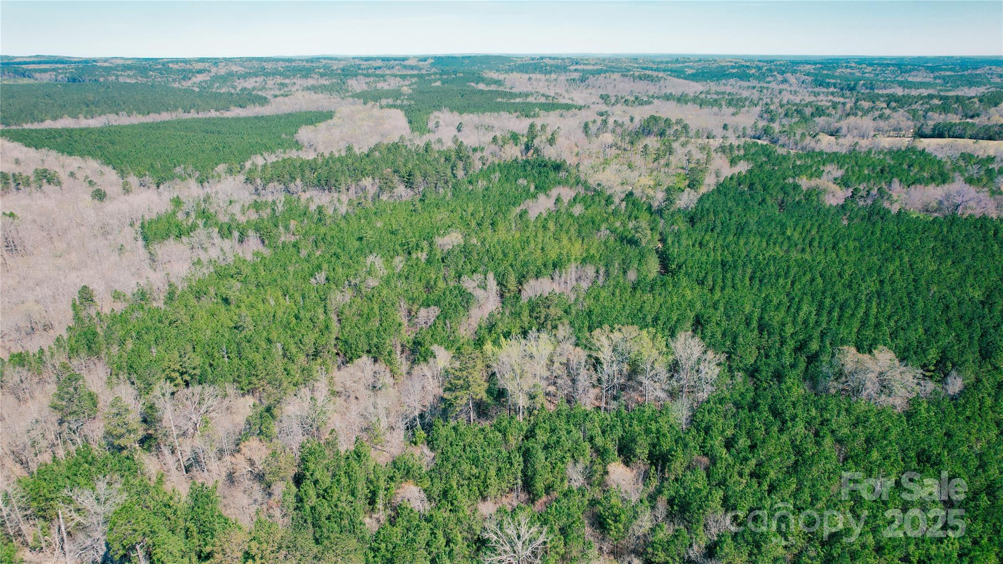 511 Moses Road Ridgeway, SC 29130 - Photo 11 of 21 a view of lake with green space