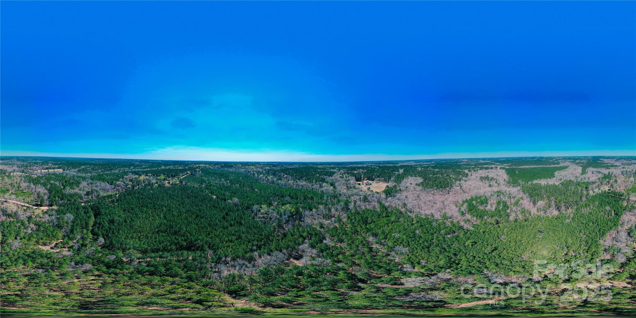 511 Moses Road Ridgeway, SC 29130 - Photo 12 of 21 a view of yard with ocean view