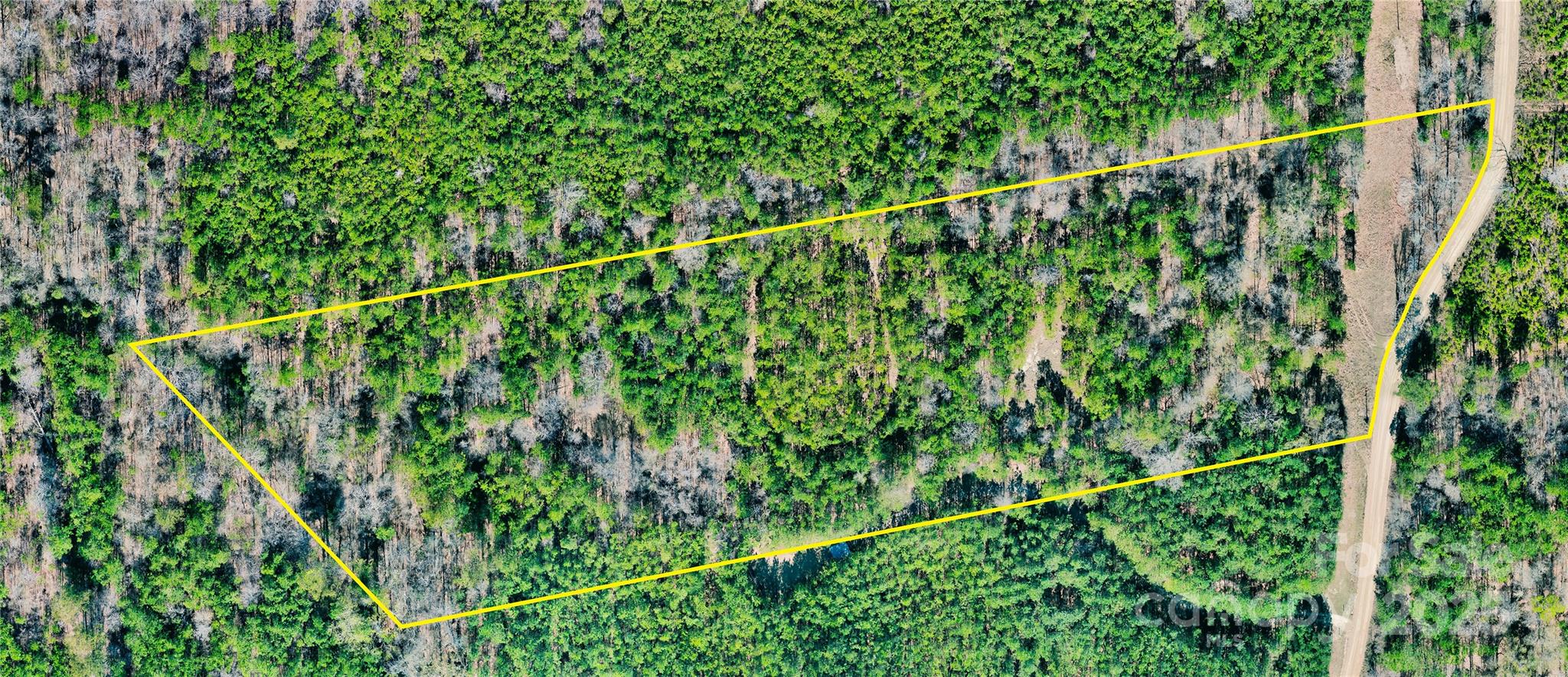 511 Moses Road Ridgeway, SC 29130 - Photo 14 of 21