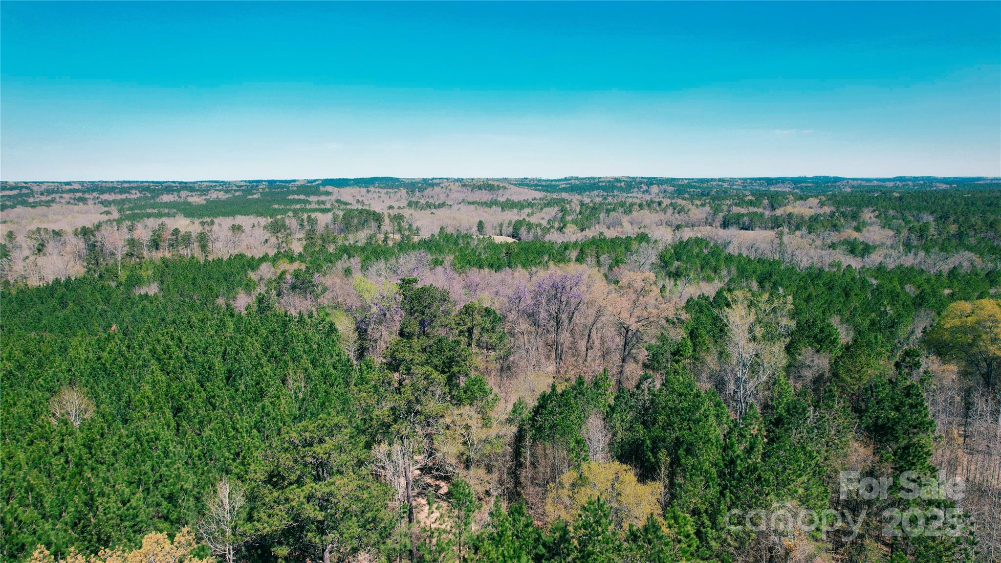 511 Moses Road Ridgeway, SC 29130 - Photo 16 of 21 a view of lake with lots of green space