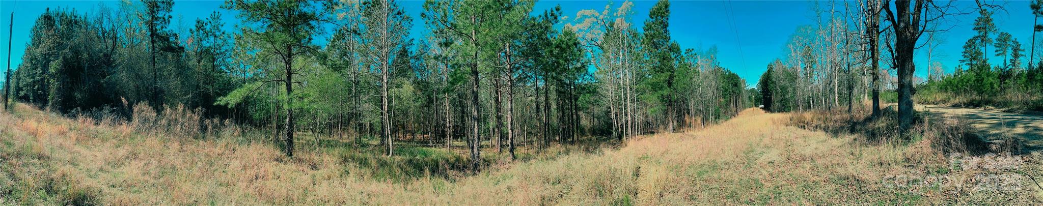511 Moses Road Ridgeway, SC 29130 - Photo 20 of 21 a view of a lush green space