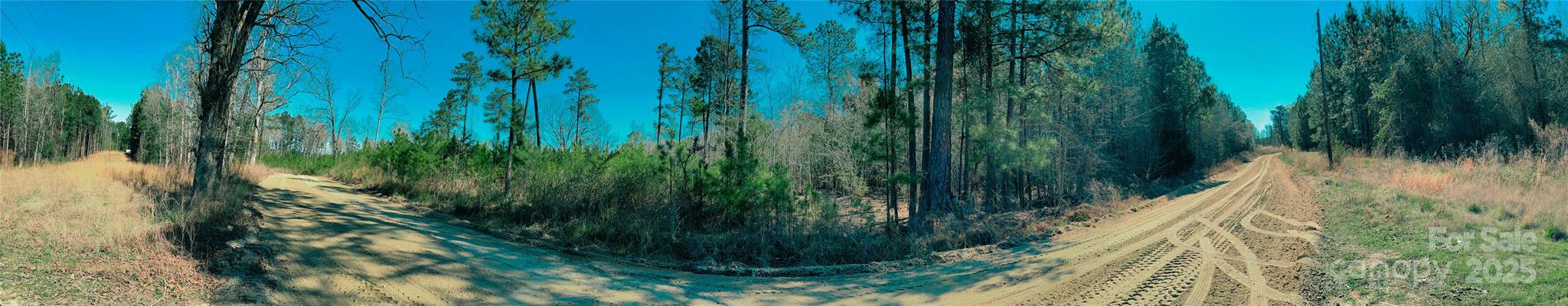 511 Moses Road Ridgeway, SC 29130 - Photo 21 of 21 a view of a garden
