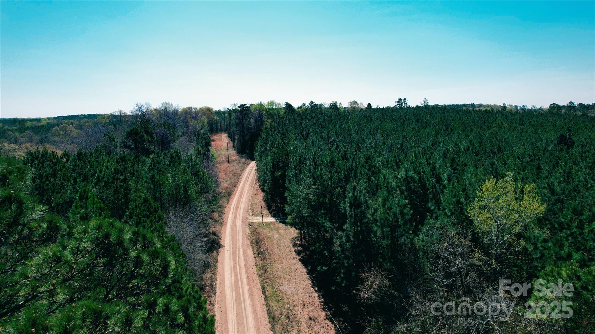 511 Moses Road Ridgeway, SC 29130 - Photo 4 of 21 a view of a city with lush green forest