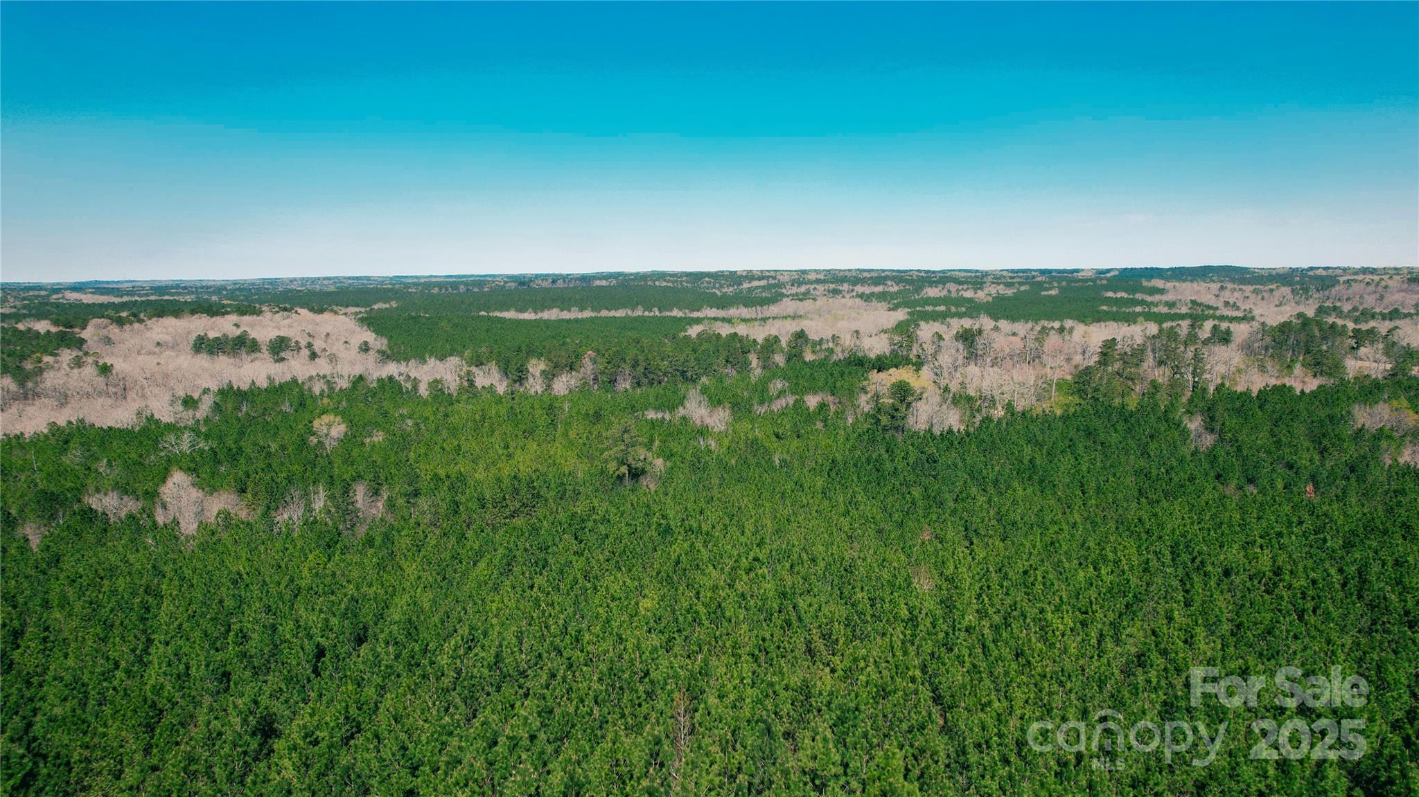 511 Moses Road Ridgeway, SC 29130 - Photo 6 of 21 a view of lake with mountain