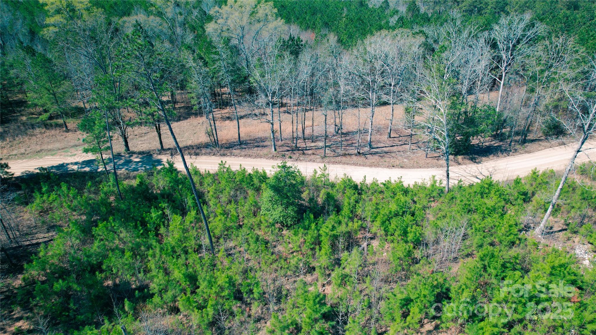 511 Moses Road Ridgeway, SC 29130 - Photo 7 of 21 a view of garden with patio
