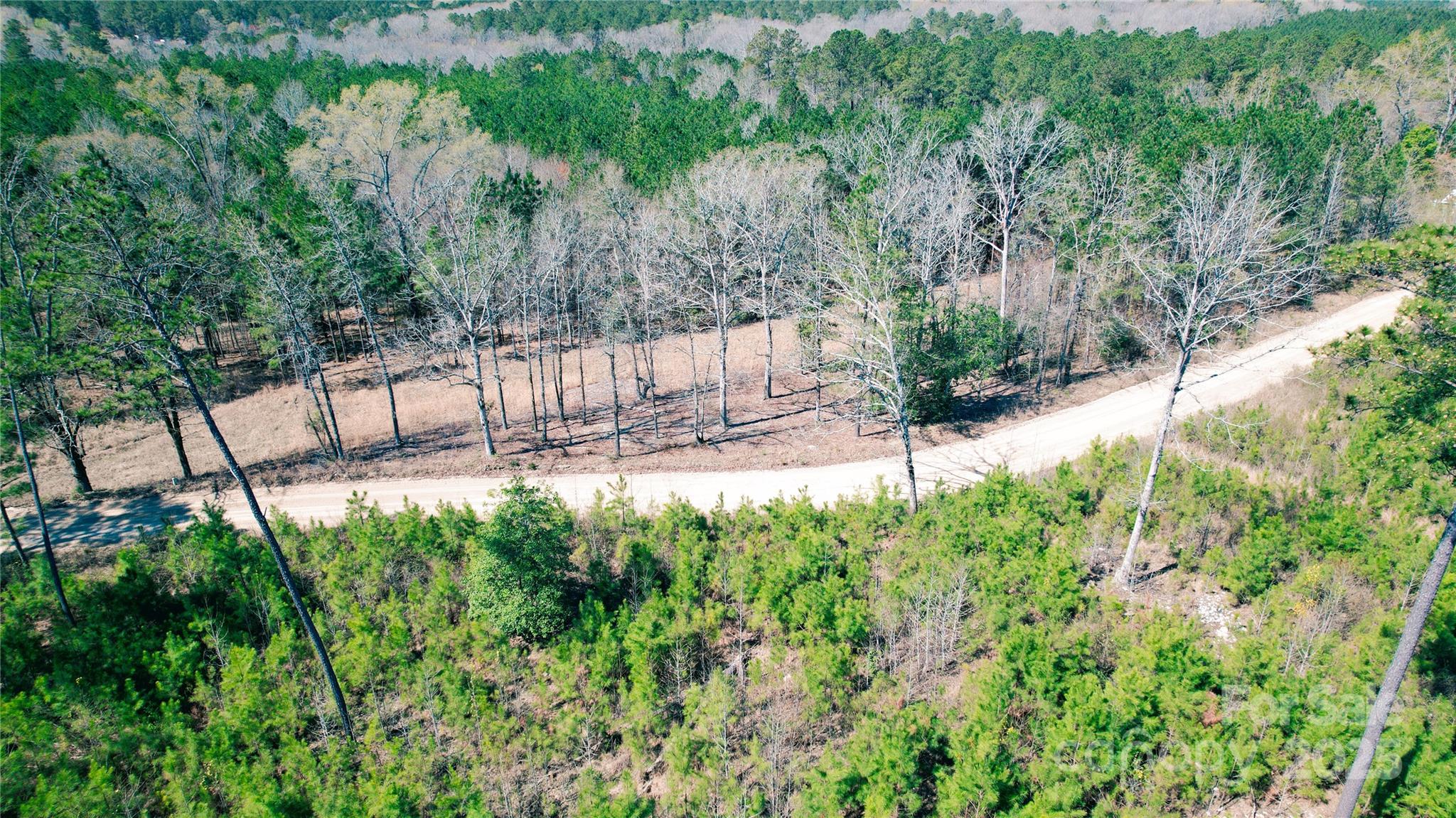 511 Moses Road Ridgeway, SC 29130 - Photo 8 of 21 a view of a yard with large tree