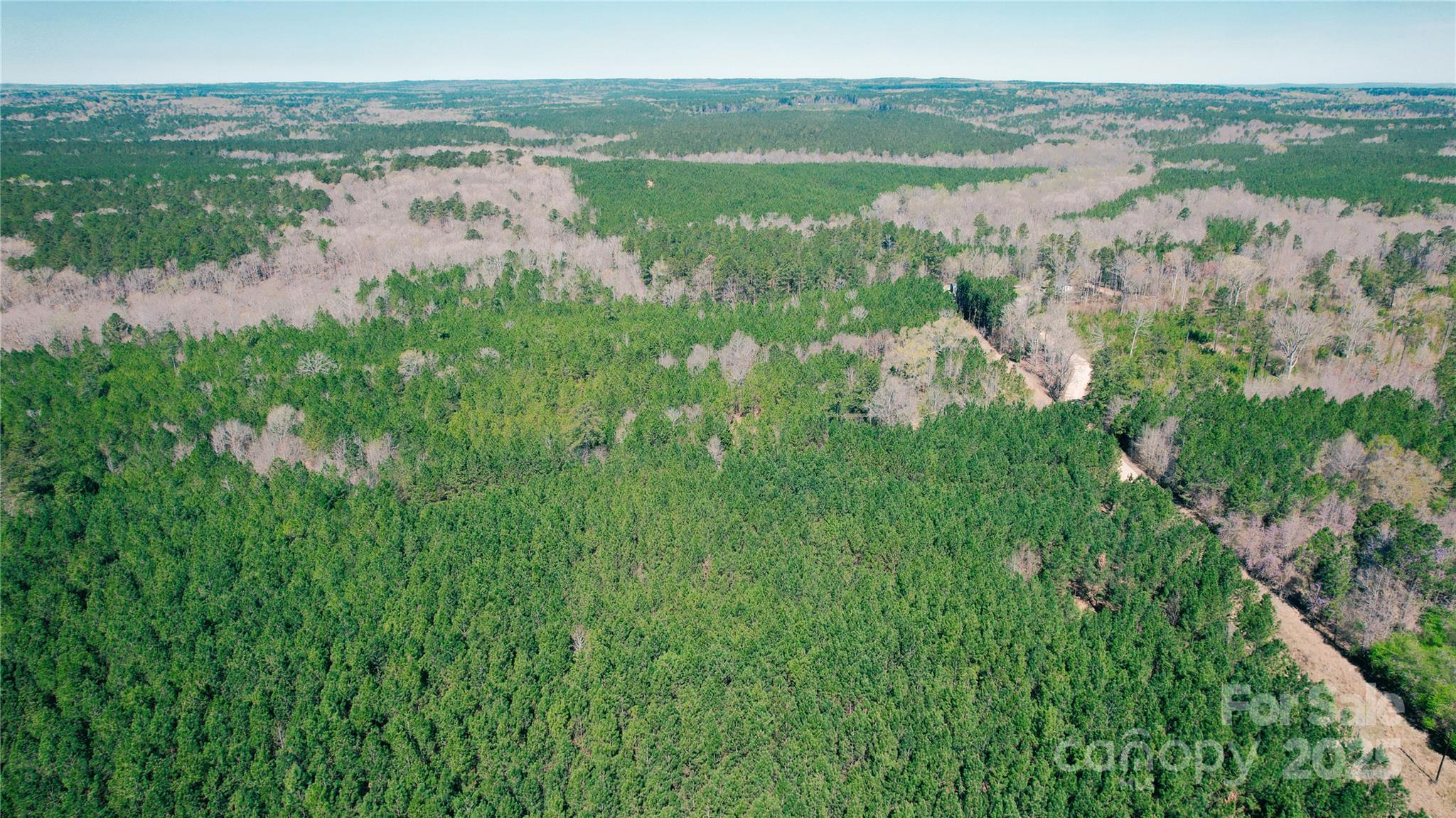 511 Moses Road Ridgeway, SC 29130 - Photo 10 of 21 a view of lake with green space