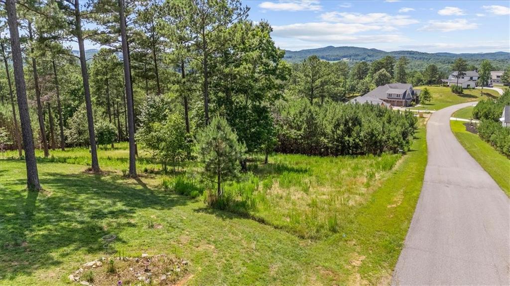 276 Ridge Pointe Way Blairsville, GA 30512 - Photo 8 of 15 a view of a garden with houses