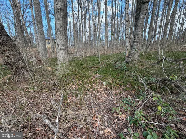 $1,290,000 | 9529 Sperryville Pike, Culpeper, VA 22701