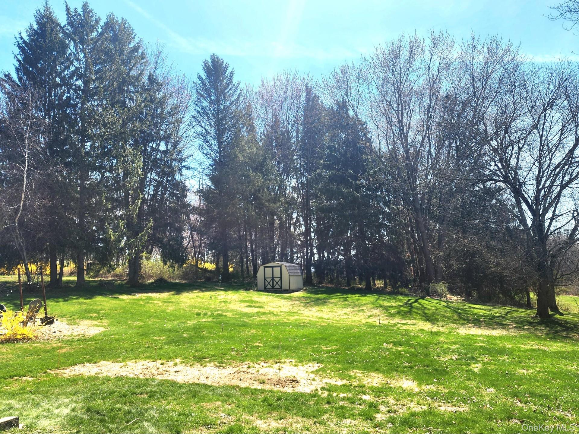 16 Saddle Ridge Drive Hopewell Junction, NY 12533 - Photo 19 of 19 Mature trees offer perfect screening for this backyard