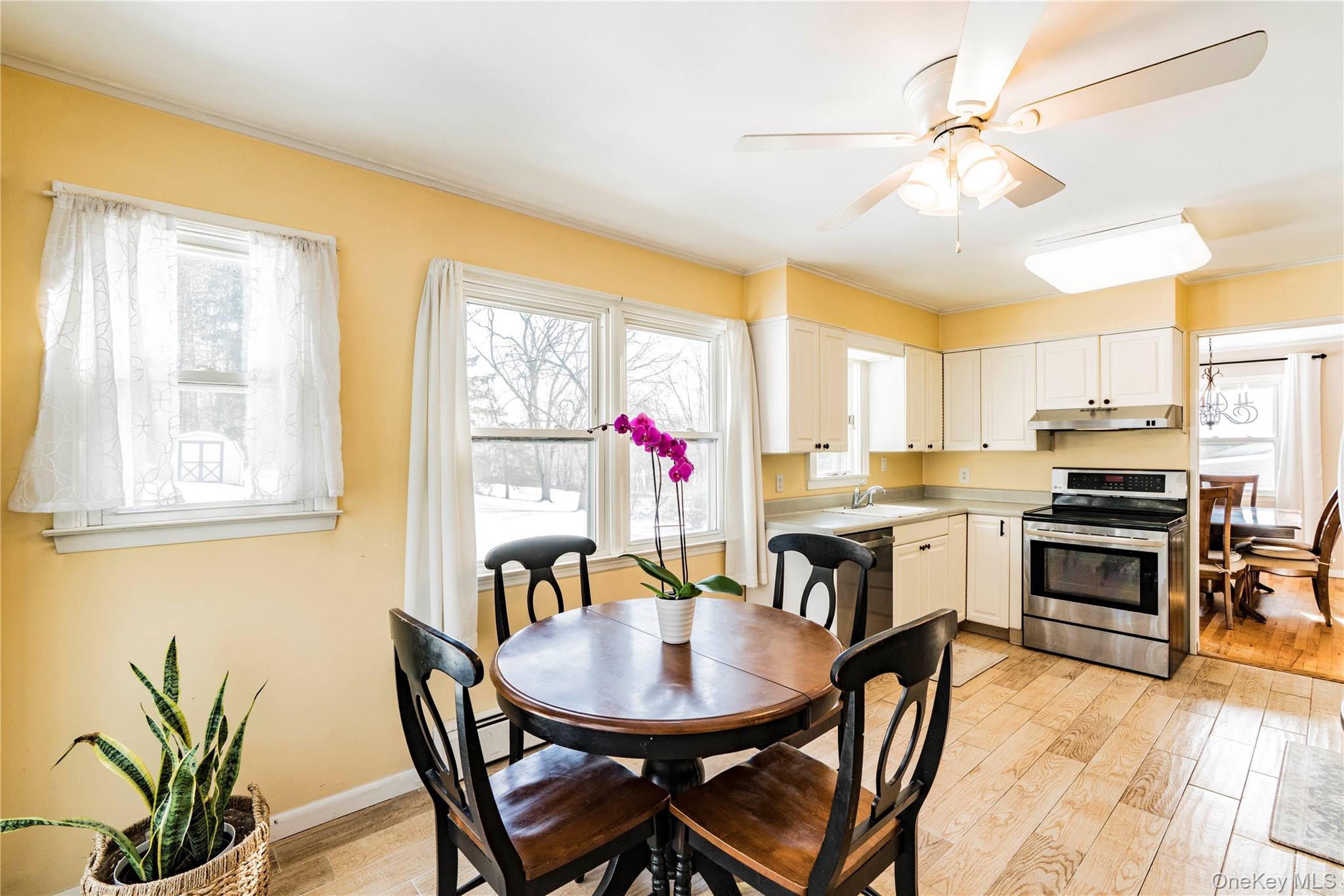 16 Saddle Ridge Drive Hopewell Junction, NY 12533 - Photo 5 of 19 Eat in Kitchen