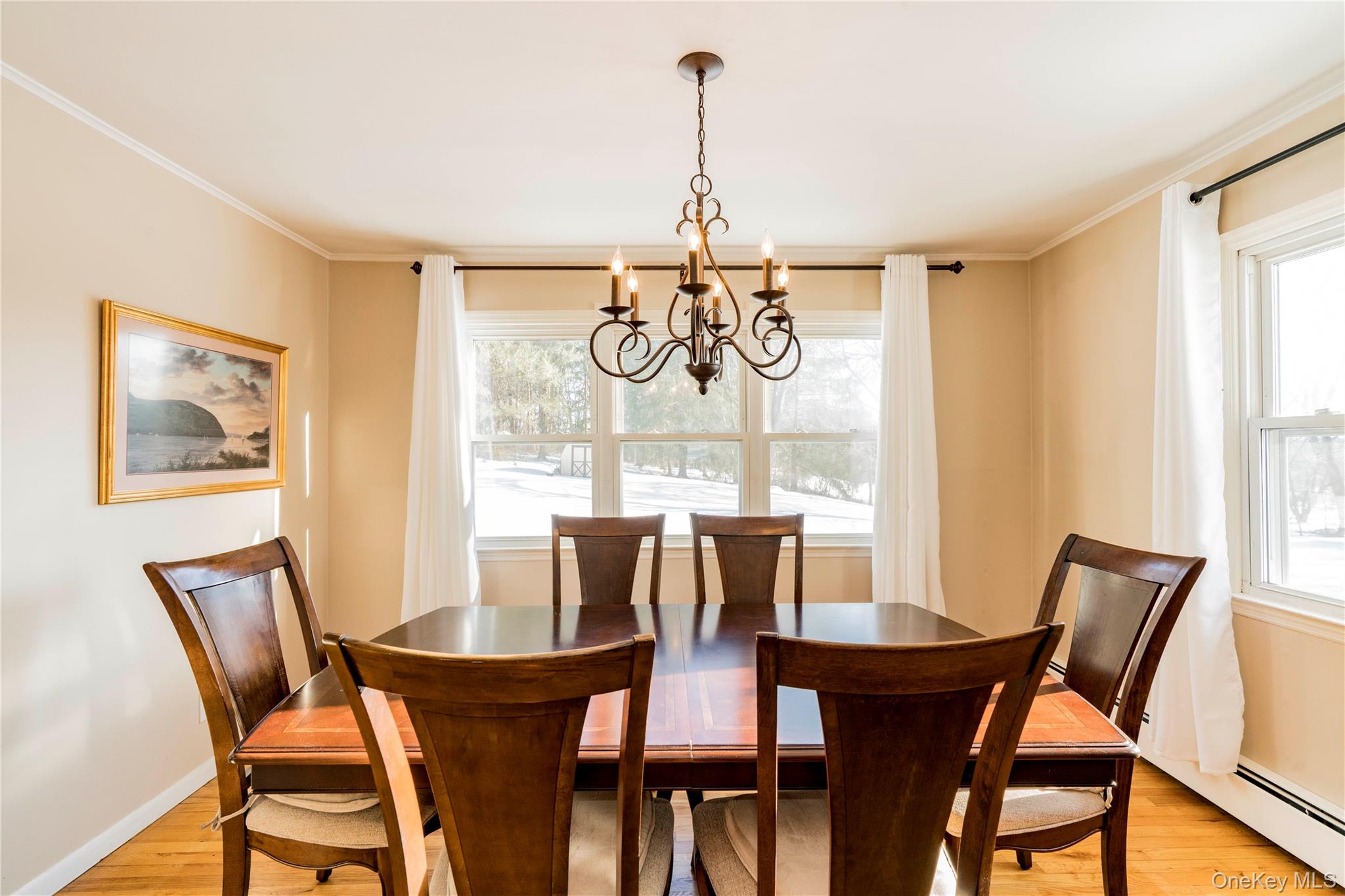 16 Saddle Ridge Drive Hopewell Junction, NY 12533 - Photo 6 of 19 Formal Dining Room with Big windows and wood floors