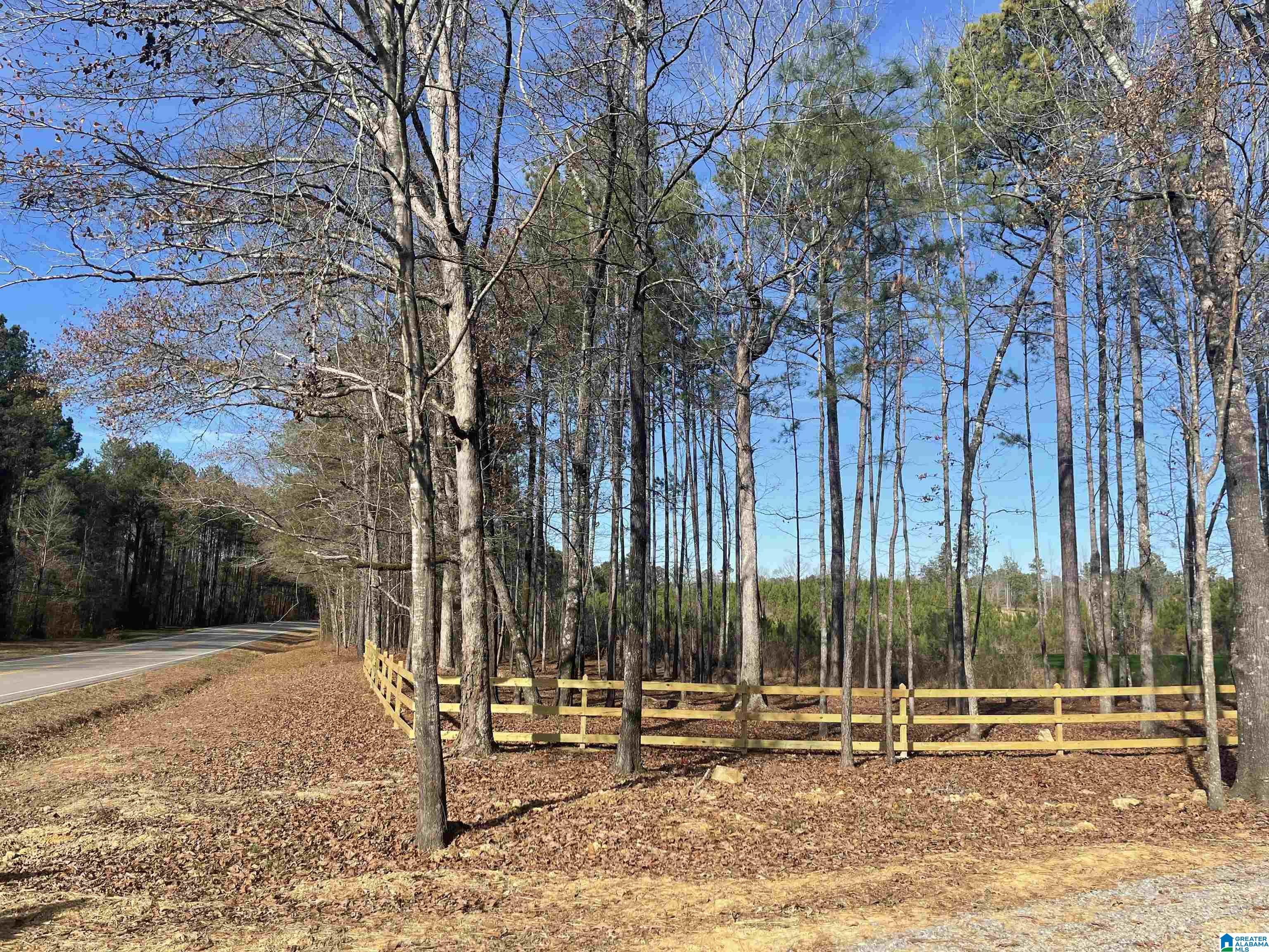 7 Chelsea Road, Unit 2 Columbiana, AL 35051 - Photo 3 of 12