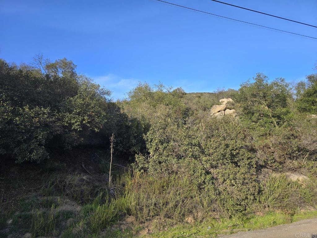 0 Rockhouse Road Ramona, CA 92065 - Photo 2 of 21 Gallery Image 2