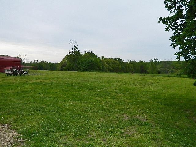 638 Pernell Road White Bluff, TN 37187 - Photo 4 of 17 Nice level lot with plenty of room for children to play!