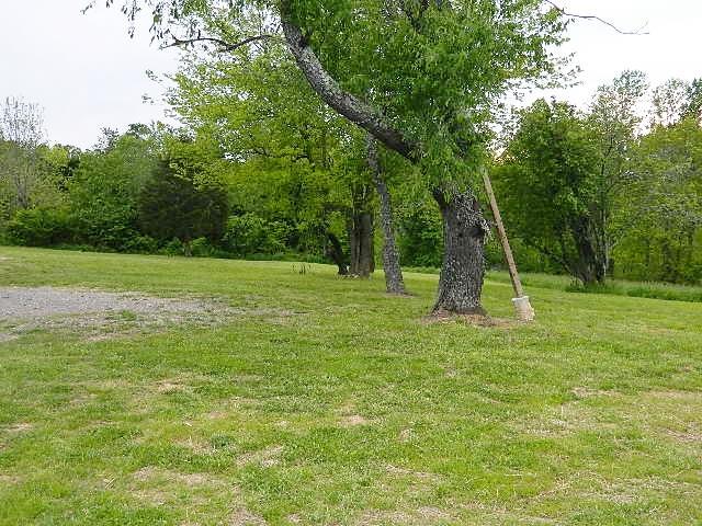 638 Pernell Road White Bluff, TN 37187 - Photo 6 of 17 Another view of lot with nice shade trees.