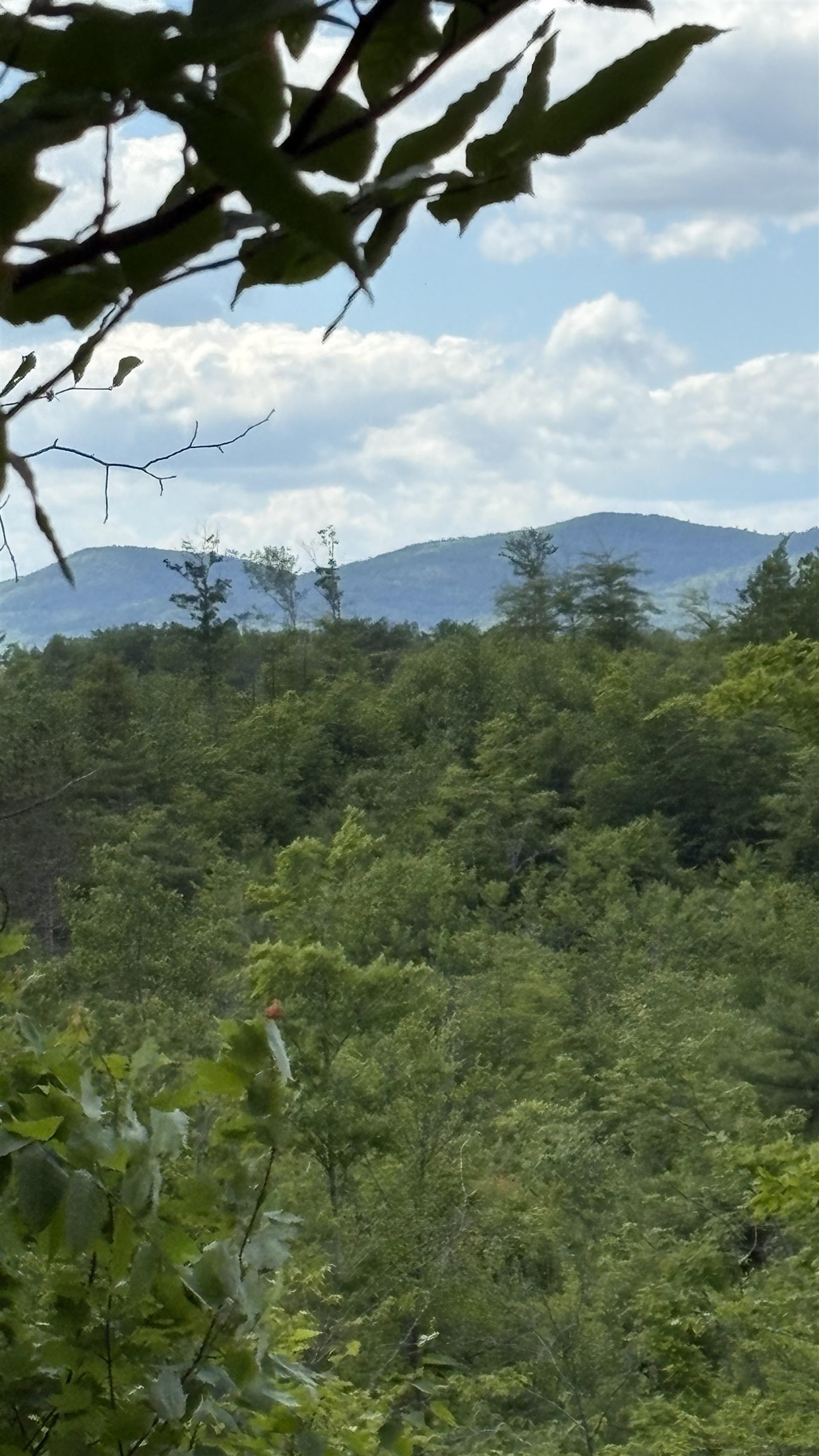 0 Oregon Road, Unit 2 Lyman, NH 03585 - Photo 2 of 8