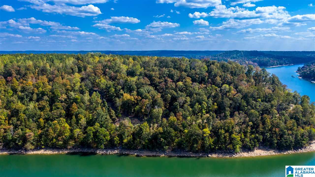 0 County Road 297 Cullman, AL 35057 - Photo 9 of 48