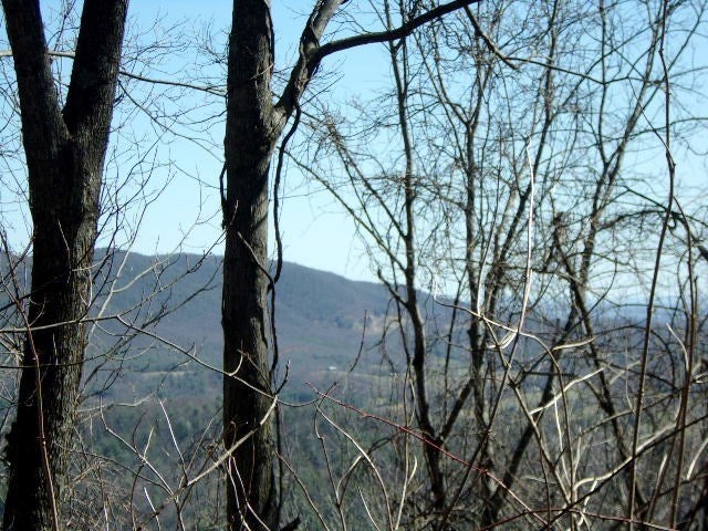 Tbd Spring Valley Road, Unit 2B Elk Creek, VA 24326 - Photo 7 of 7 Gallery Image 7
