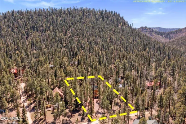 $425,500 | 6 County Road 2042, Alpine, AZ 85920