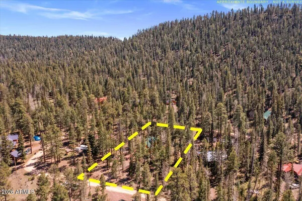 $425,500 | 6 County Road 2042, Alpine, AZ 85920
