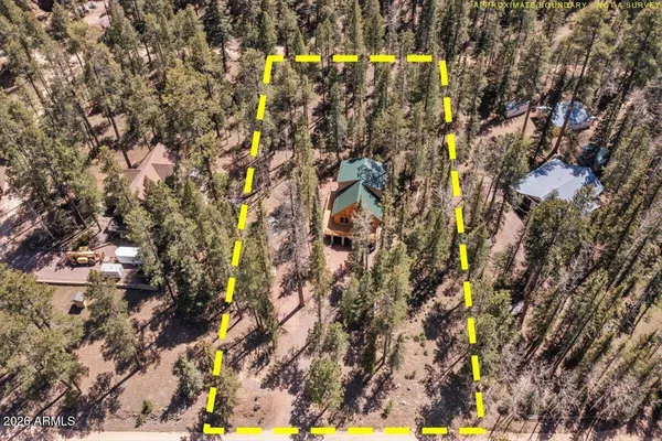 $425,500 | 6 County Road 2042, Alpine, AZ 85920