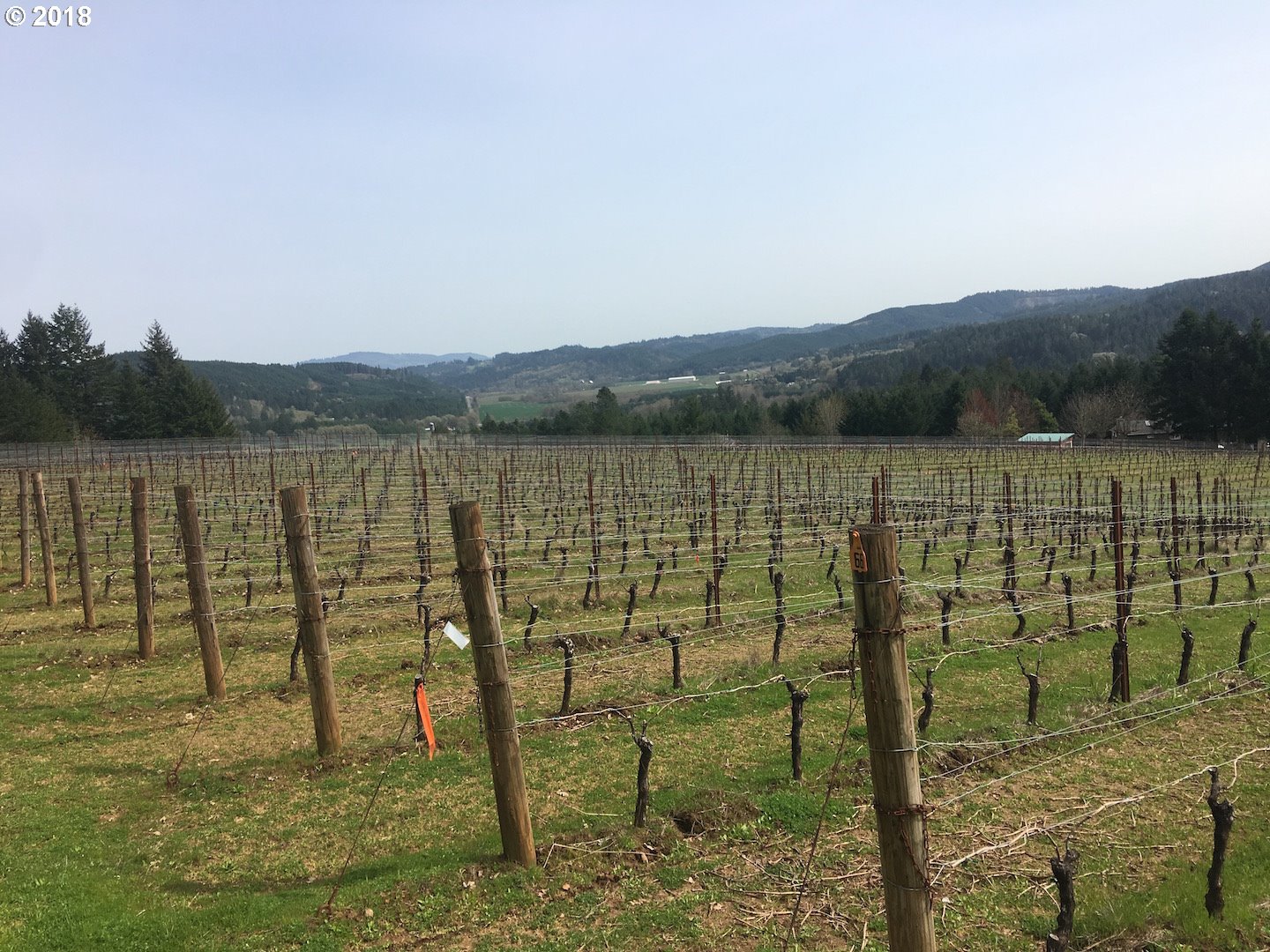 9179 Southwest Lee Road Gaston, OR 97119 - Photo 21 of 30 a view of lake