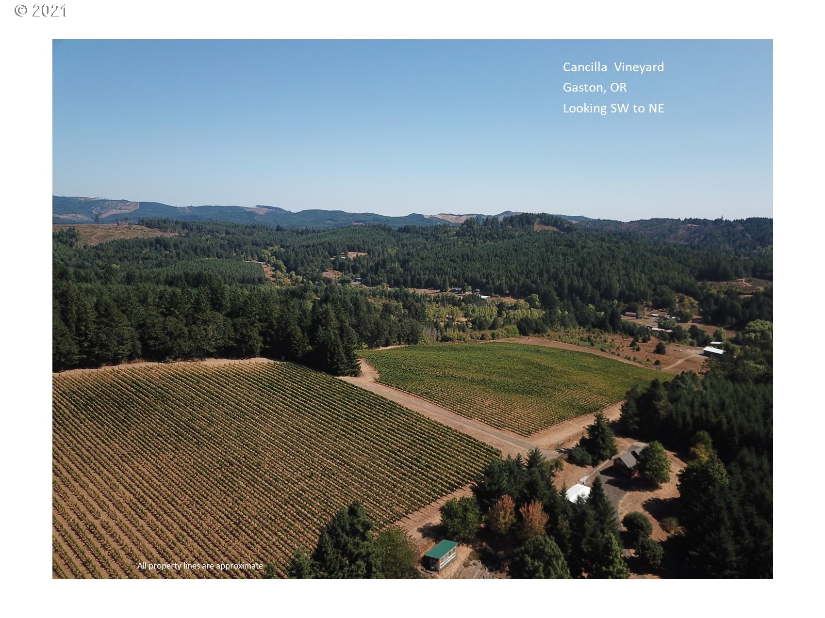 9179 Southwest Lee Road Gaston, OR 97119 - Photo 9 of 30