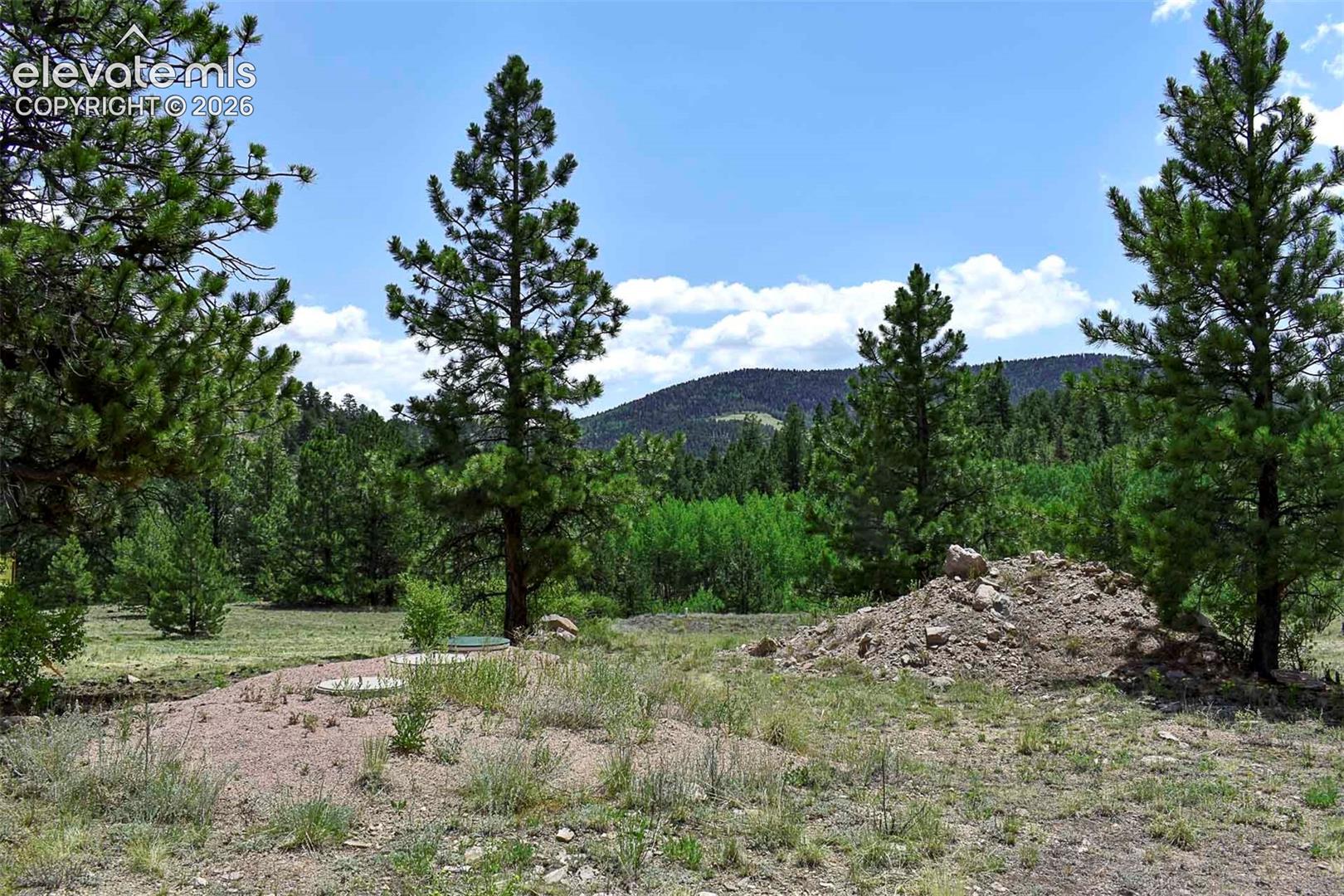 376 Copeland Road Guffey, CO 80820 - Photo 2 of 47